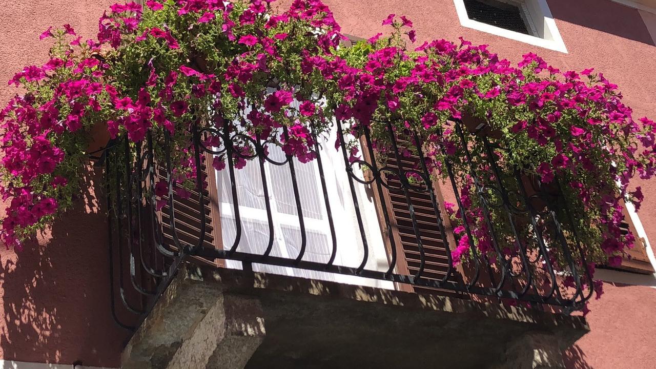 La Casa Del Colonnello Hotel Vercelli Kültér fotó